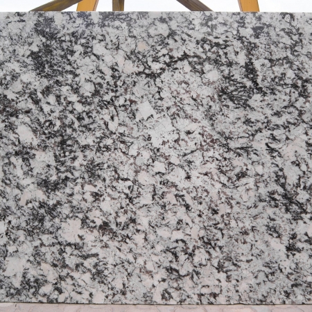 White-delicatus-placa